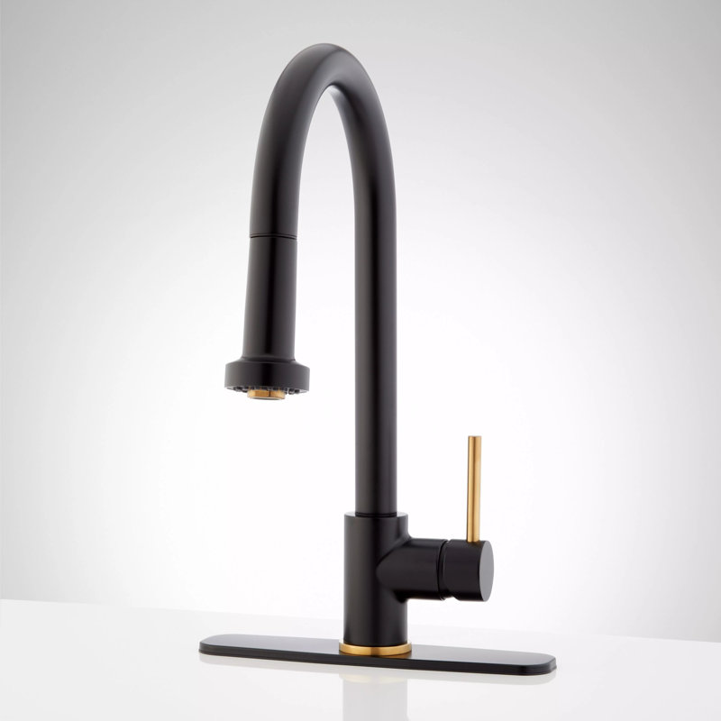 Ridgeway Single Handle Pull-Down Kitchen Faucet with Deck Plate, Brushed Gold/Matte Black