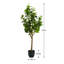 Faux arbre réaliste 51 po avec feuilles rondes et base noire Arlena