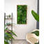 106cm Plant-1867390958