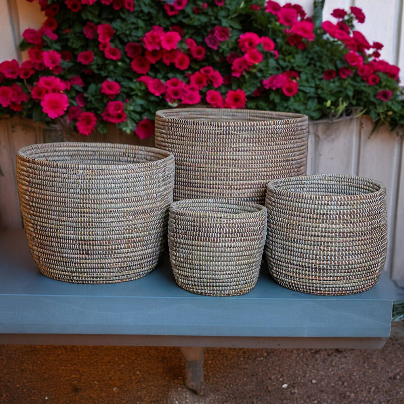 Corrigan Studio Rattan Decorative Basket, Beige
