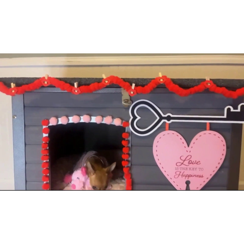 Medium Gray Insulated Wooden Dog House with Iron Frame