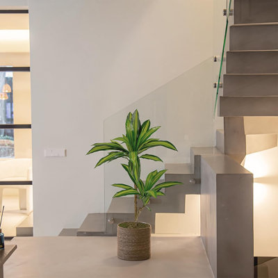 Artificial Dracaena Plant Tropical Palm Tree