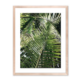 Palm I Print by Vitaliy Paykov