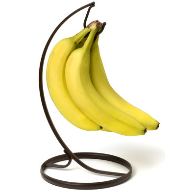 Rebrilliant Stainless Steel Fruit Holder