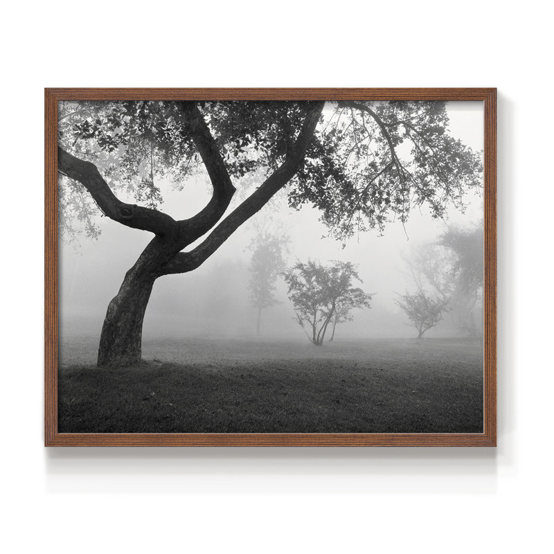 «Into the Mist», impression encadrée, H 8 po x l 10 po, Noyer