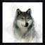 «Rainsoft Wolf» par Carol Robinson - reproduction de cadre photo-1639027305