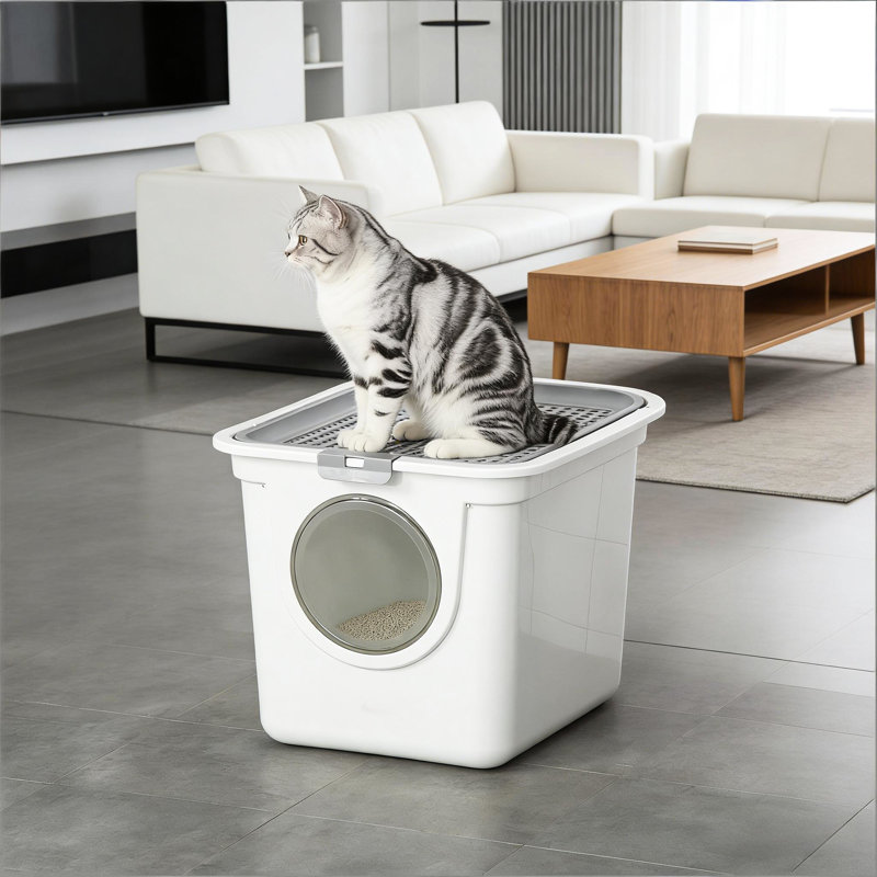 Litière pour chat avec entrée avant et sortie supérieure, fermée pour une zone d'odeurs privée, entretien facile, boîte en plastique PE portable, bons chats de moins de 10 lb, abat-jour gris / blanc