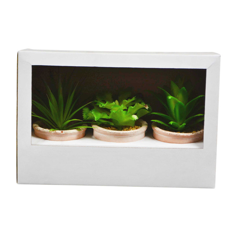 3 "plante grasse 3" en pot décoratif - ensemble de 3
