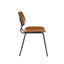 Chaise d'appoint Brantson-1844764044