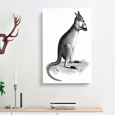 Kangaroo In Black & White by George Shaw - Wrapped Canvas Print