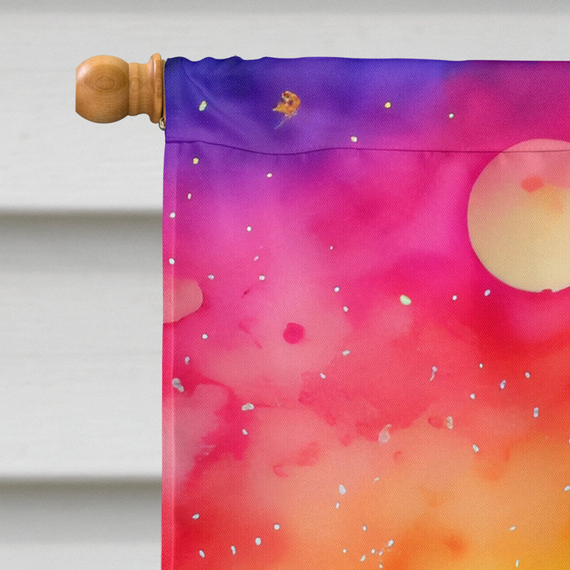 Drapeau de maison en polyester à double face H 40 po x l 28 po