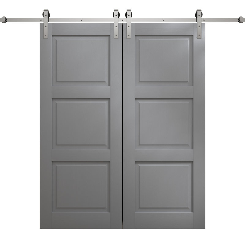 Porte de grange double moderne | Ego 5010 | Ensemble de rail argenté | Portes intérieures solides, 84 po x 84 po