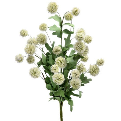 Fabric Ecinops Arrangement