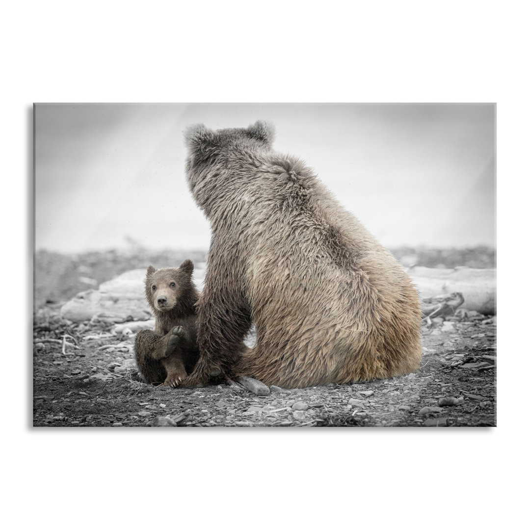 Glasbild Bär mit Baby nach dem Baden