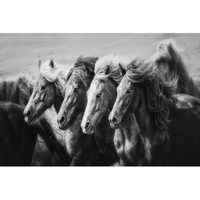 Taryl Party Of Four by PHBurchett - Wrapped Canvas Photograph