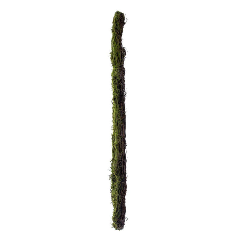 Vickerman 24"H x 24"W Pumpkin Outline Wreath. Made of natural twigs with a hint of artificial moss.