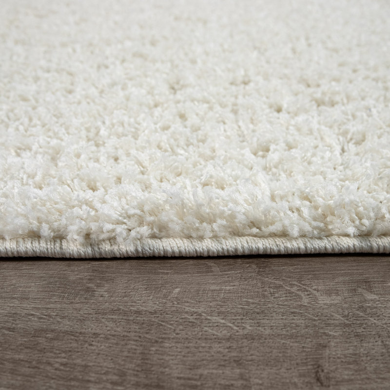 Epperson Solid Colour Shag Area Rug, Rectangle 60 x 100cm