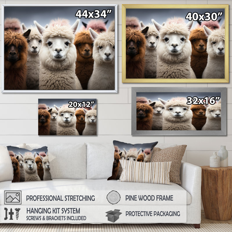 Alpacas Graceful Fibers - Imprimé, H 34 po x l 44 po x P 1,5 po, Toile tendue
