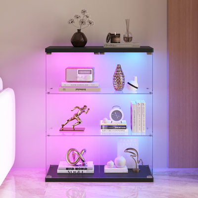 Display Cabinet