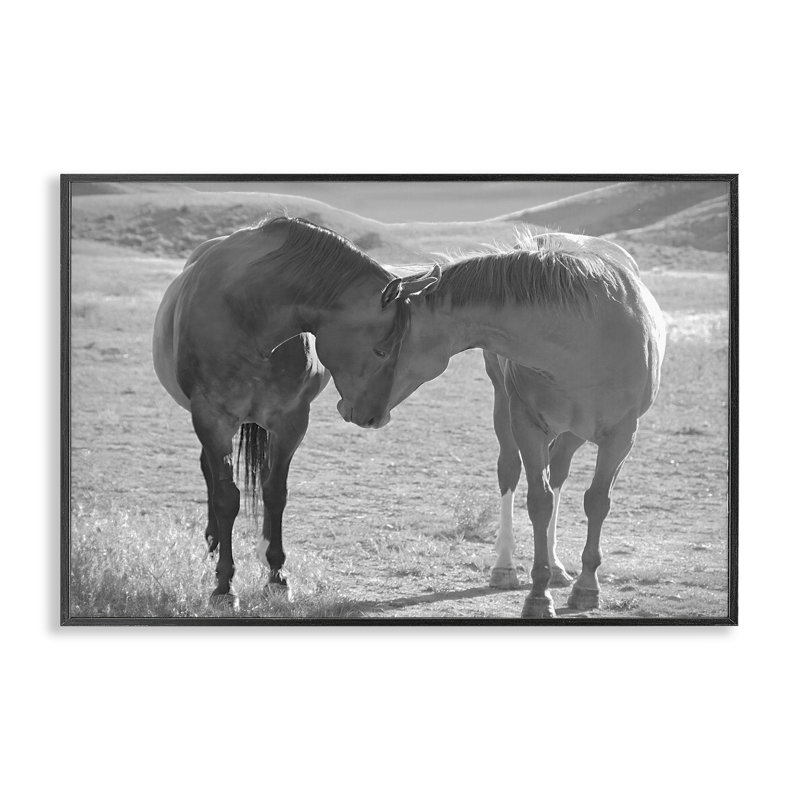 «Sweet Nothings Bond entre les chevaux», estampe numérique, design par Steve Toole, Giclée noire de minuit encadrée