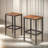 Shrinivas 2PC Counter Height Stools