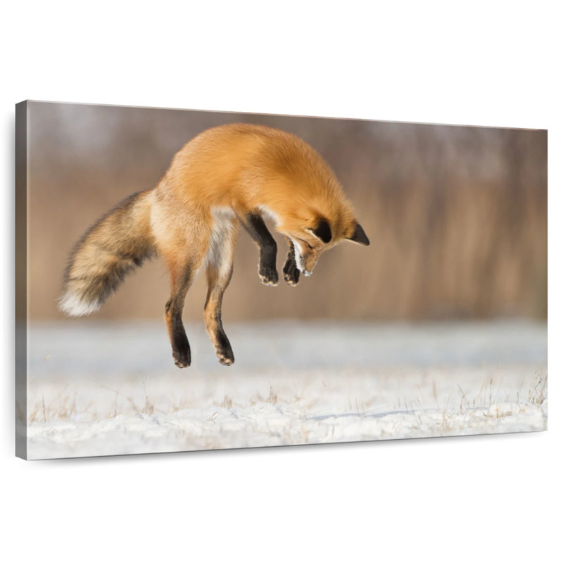 Jumping Red Fox, 30" H x 45" W