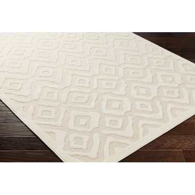 Breaanna Indoor / Outdoor Rug