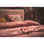 Cotton 300 TC Duvet Cover Set-41474385-41474378