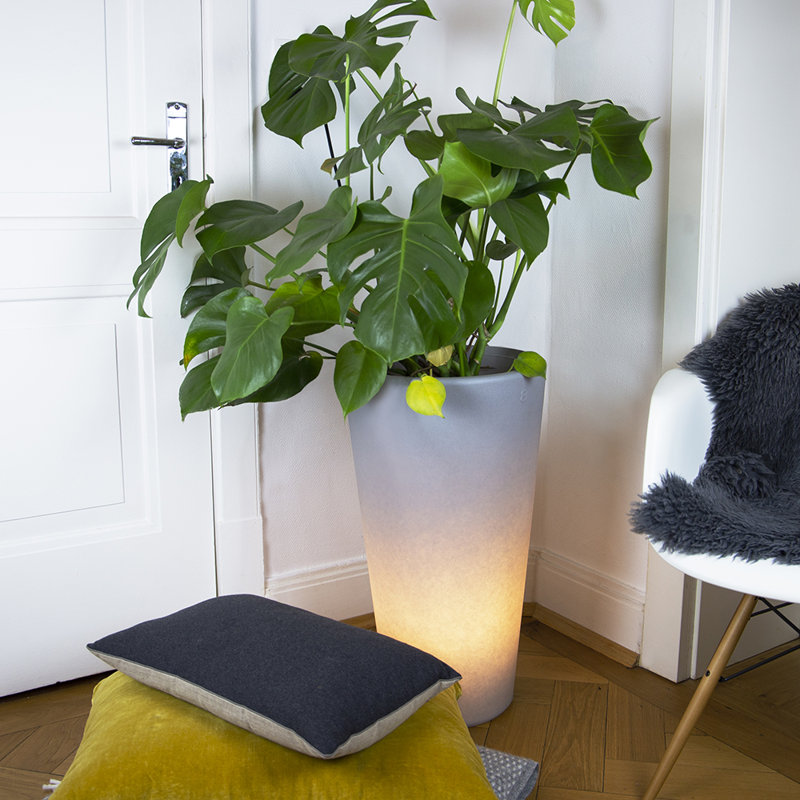 Vita Pot Planter, 70cm H x 39cm W x 39cm D, Grey