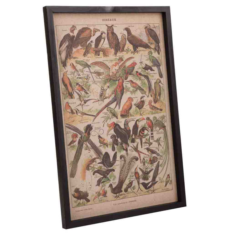 Single Picture Frame Print