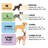 Plush & Suede Full Support Orthopedic Foam Sofa Style Bolster Dog Bed-51304719-51304722