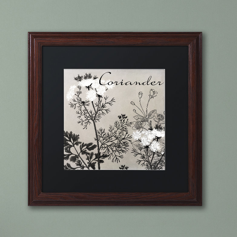 Jadaya «Flowering Herbs IV» par Color Bakery, impression encadrée, Noir, H 16 po x l 16 po x P 0,5 po, Cadre noir