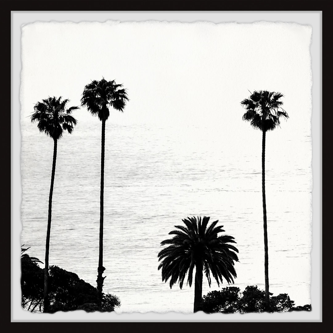 'Towering Palm Trees' - Picture Frame Photograph Print on Paper
