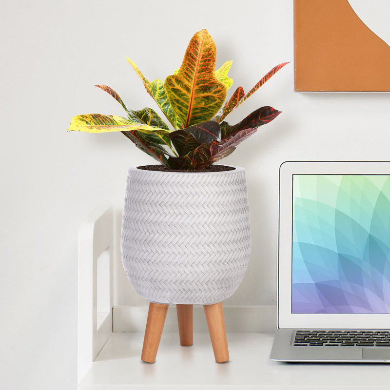Concrete Effect Planter on Hardwood Legs, Round Indoor Plant Pot Stand for Indoor Plants, Indoor Flower Pot with Plaited Pattern