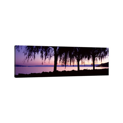 Weeping Willows, Lake Geneva, St Saphorin, Switzerland 1 Piece Wrapped Canvas Panoramic Wall Art