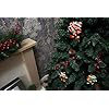 33cm PVC No Holiday Shaped Ornament