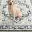 Amaresh Oriental Machine Washable Ivory/Charcoal Area Rug-22380127