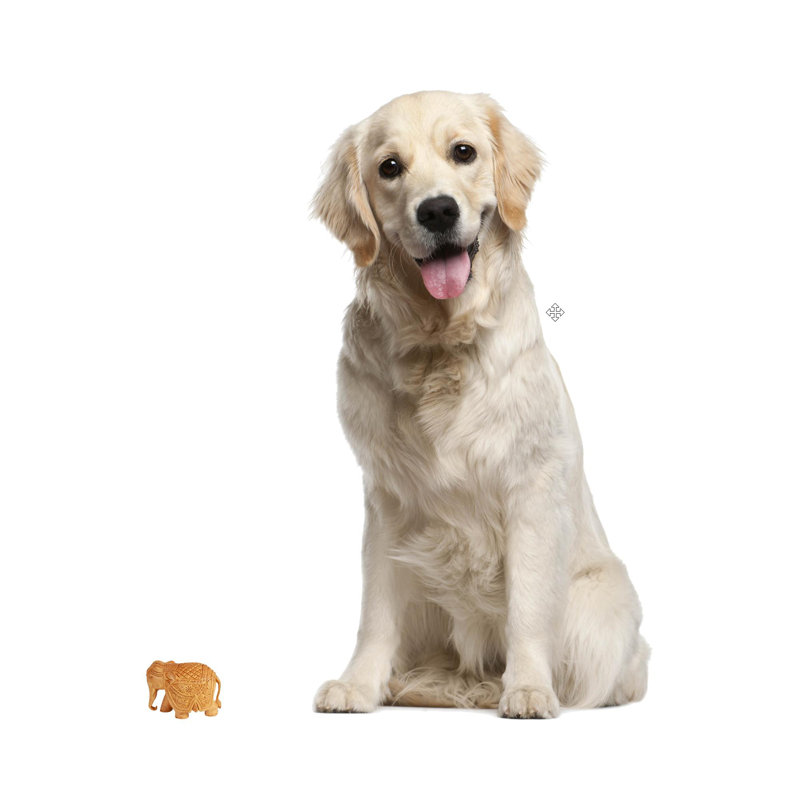 Animals Figurines & Sculptures