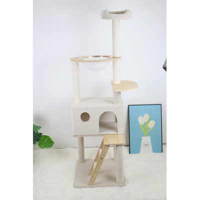 arbre à chat en bois avec grande échelle en bois et vaisseau spatial transparent
