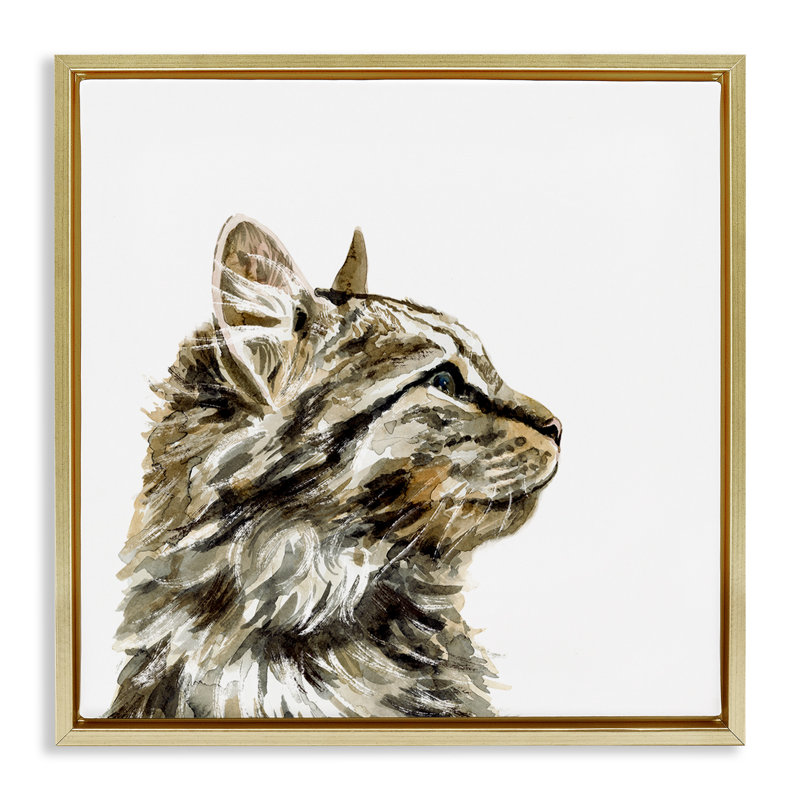 «Simple Tabby Cat Gaze Grain», art mural sur toile flottante par Victoria Barnes, Cadre flottant métallique doré
