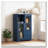 Arched Storage Cabinet-12210602