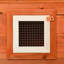 Weather Resistant Rabbit Hutch