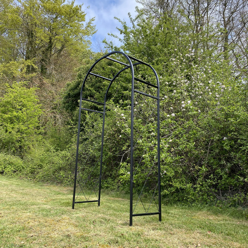 Ahnah 112cm W x 45cm D Metal Arbour with Gate in Black