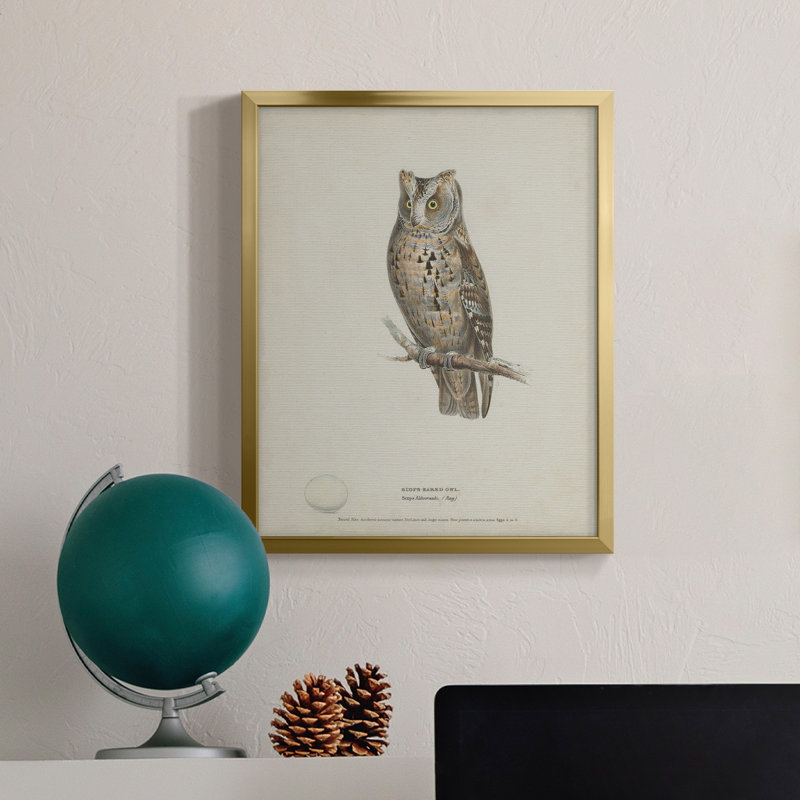 " Scops- Eared Owl " Painting Print