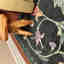 Photos des clients 2 de 2