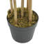 Faux Bamboo Tree in Pot-2061485469