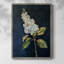 Reproduction encadrée FLORAL Series CLXIV - bois massif-1898437697