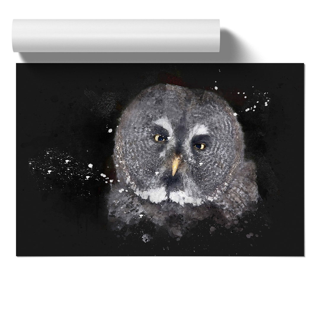Great Grey Owl Paint Splash - Frameless Print