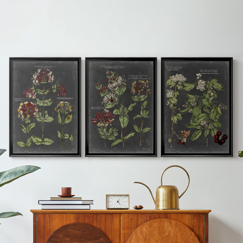 Tableau botanique rétro I - Toile tendue avec châssis sur mesure - 3 pièces, H 21 po x l 30 po, Noir