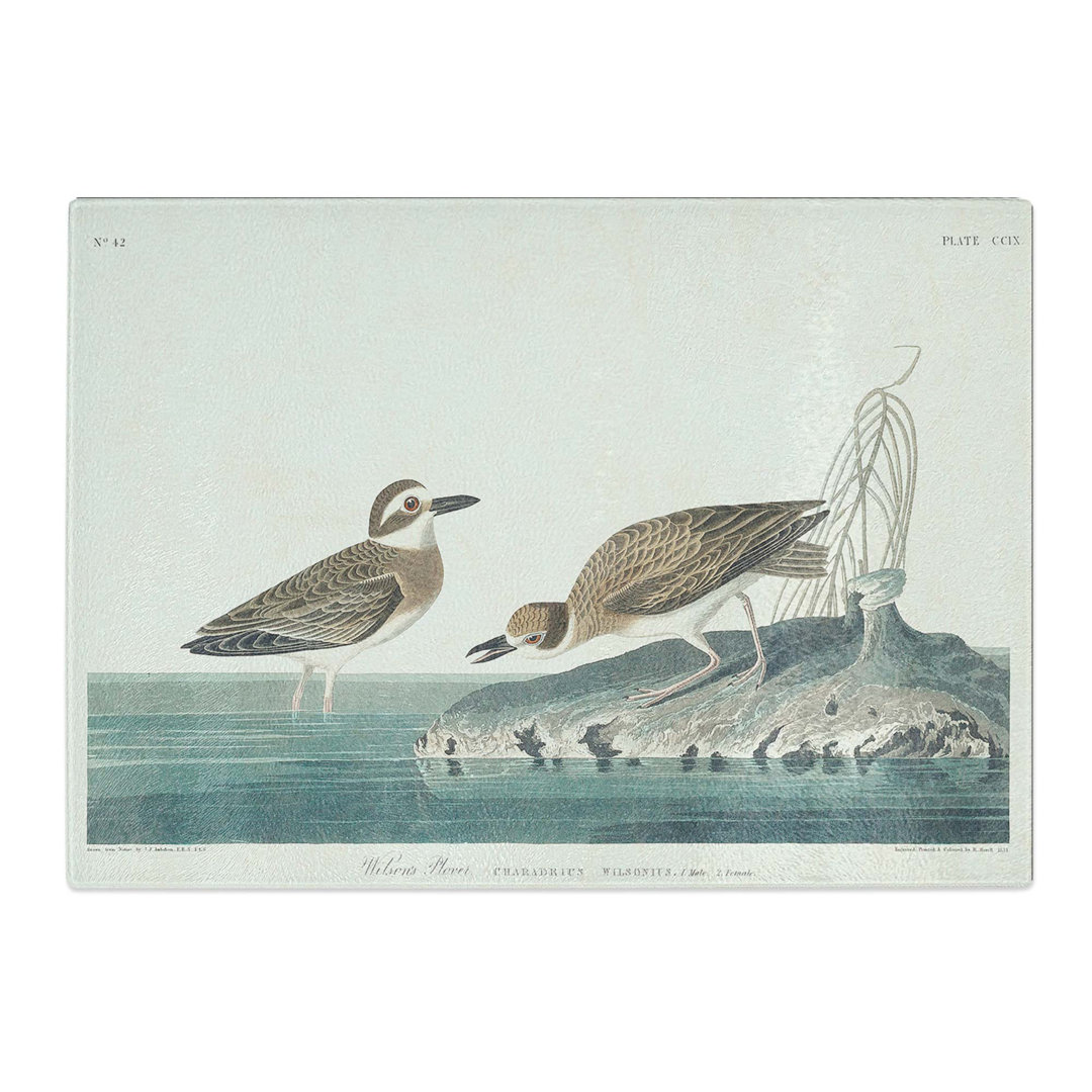Tempered Glass Wilsons Plover Birds by John James Audubon Chopping Board